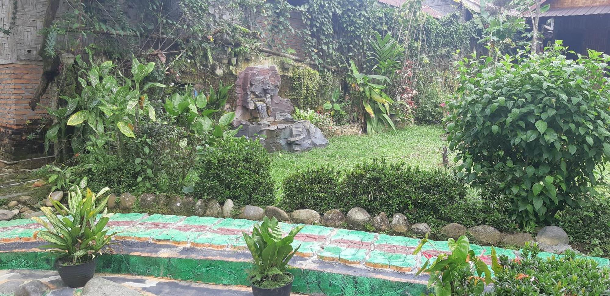 Mountain View Cottages & Villa Tangkahan المظهر الخارجي الصورة