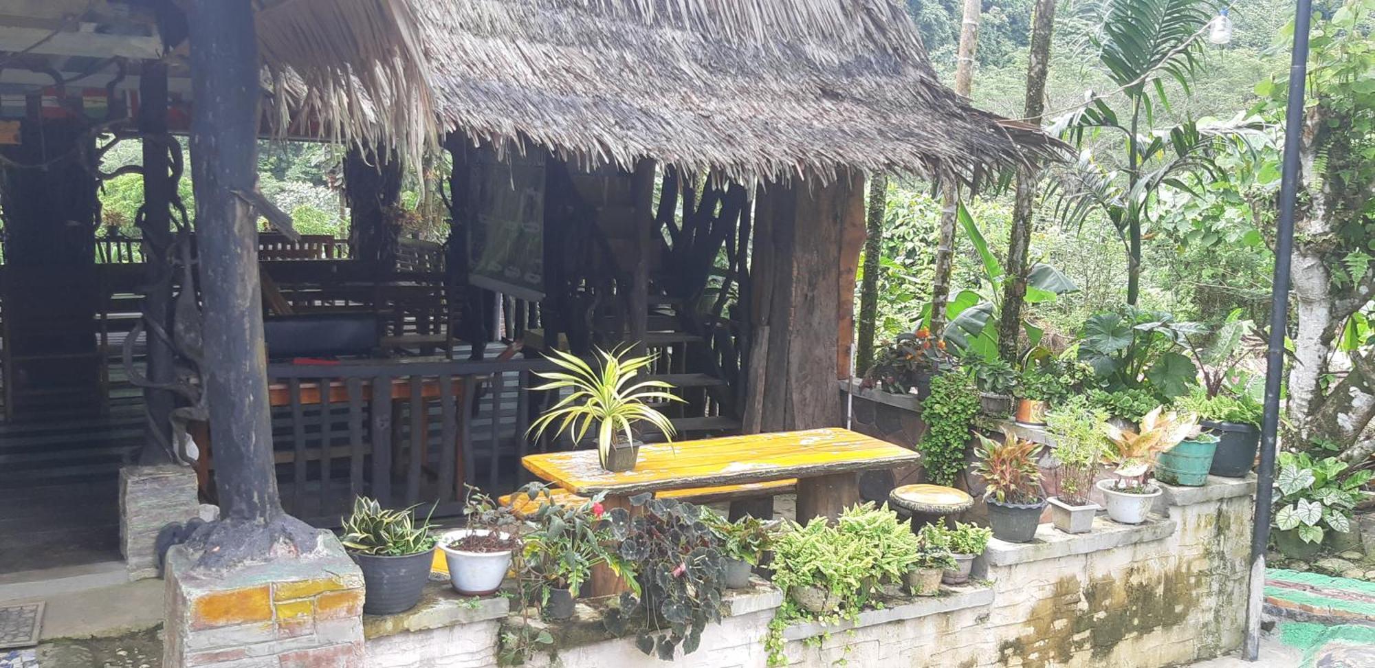Mountain View Cottages & Villa Tangkahan المظهر الخارجي الصورة