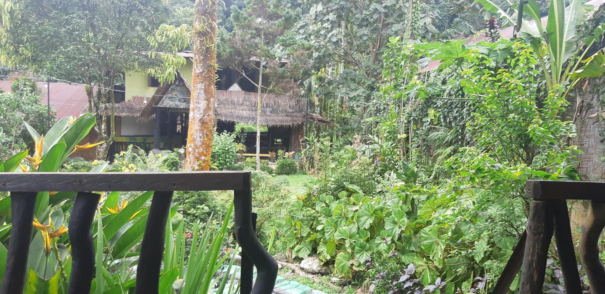 Mountain View Cottages & Villa Tangkahan المظهر الخارجي الصورة